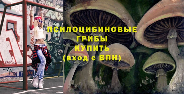 молекула духа Майский