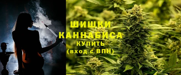 PSILOCYBIN Мегион