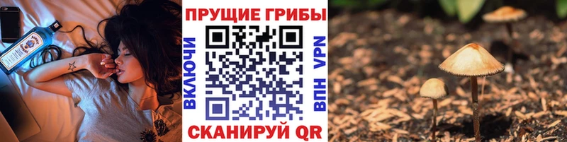 Псилоцибиновые грибы Magic Shrooms  закладка  Новочебоксарск 