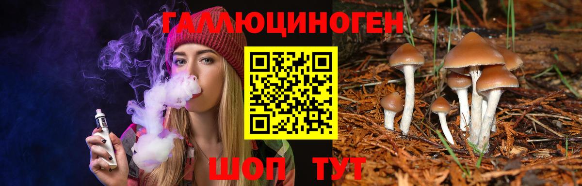 Галлюциногенные грибы ЛСД Новочебоксарск